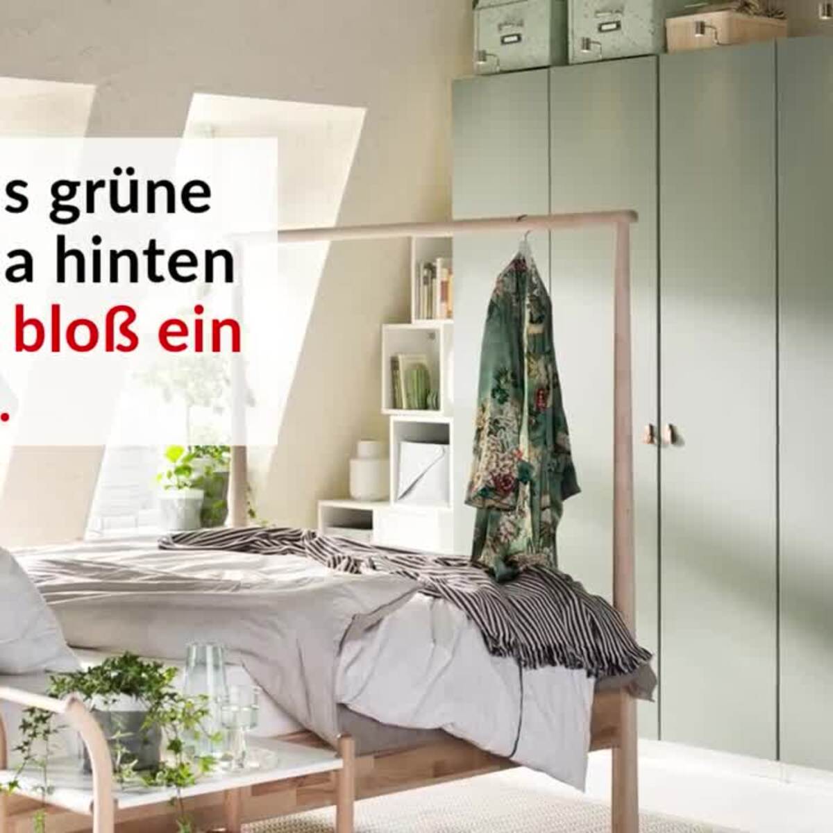 pampasgras groß kaufen Die Nr-01.de Cortaderia selloana Senior winterhart weiß XXXL Topf bei OBI Größe:Ø14cm H21cm